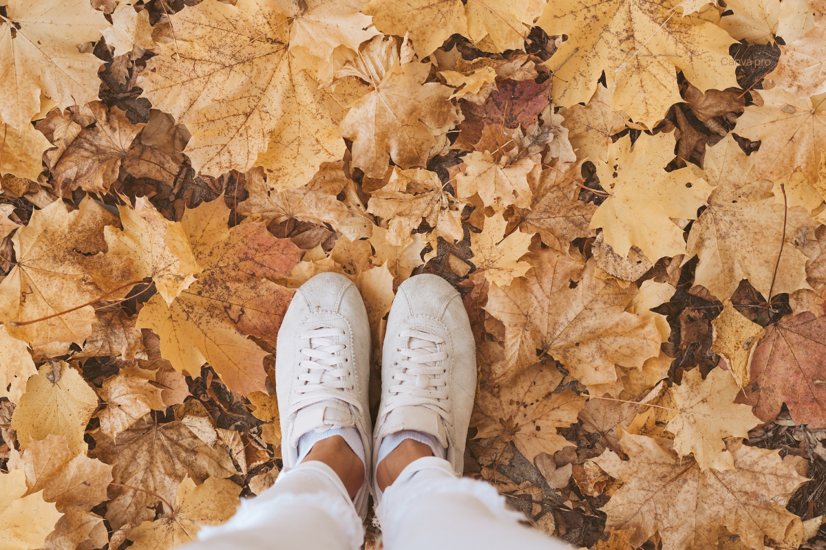 herfst winter fibromyalgie